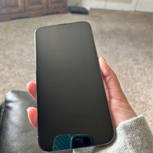 iPhone 13 Pro 256GB